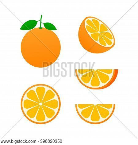 Orange Whole And Slices Of Oranges. Vector Illustration Of Oranges. Fully Editable Handmade Mesh.