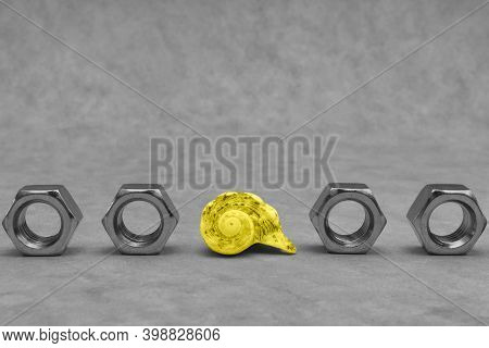 Trendy Concept Colors Of Year 2021 Illuminating And Ultimate Gray, One Yellow Seashell And Grey Nuts