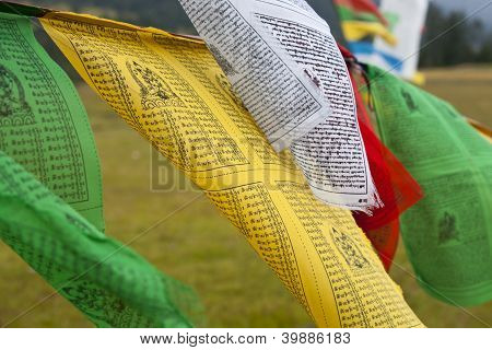 Bandeiras de oração do Tibete