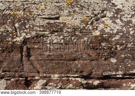 Ancient Rock Carvings Of Petroglyphs Of Animals - Boyarskaya Pisanitsa In The Republic Of Khakassia