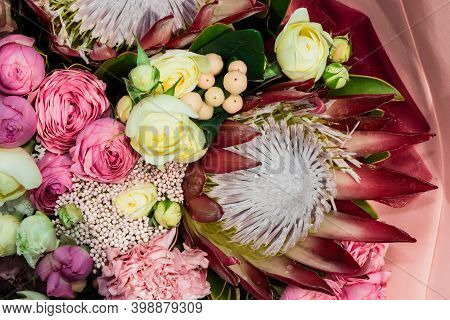 Protea Flowers Bunch. Blooming Pink King Protea Plant. Closeup. Holiday Gift, Bouquet, Buds. One Bea