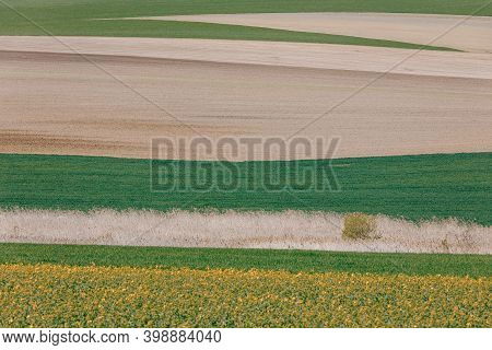 Beautiful Spring Rural Landscape With Plowed Field Curves And Wheat Grain. Rural Landscape. Spring L