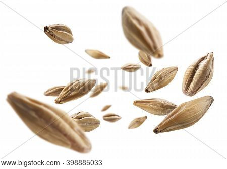 Barley Malt Grains Levitate On A White Background