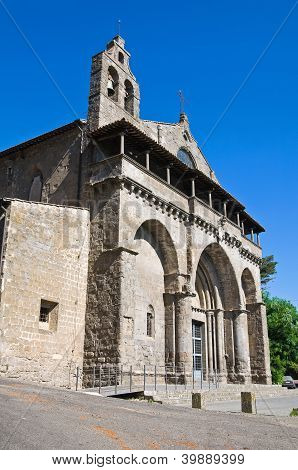 Basilica of St. Flaviano. Montefiascone. Lazio. Italien.