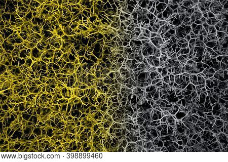 Top View. Of Yellow And Gray Colored Natural Abstract Thorn Background.bush With Thorns. Natural Bac