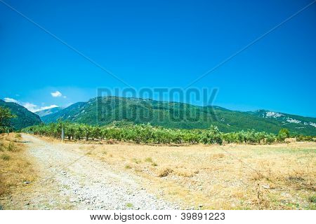 Mountain view - Parque Nacional Olympus