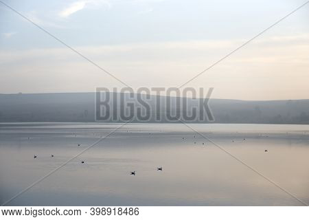 Lots Of Copy Space In This Atmospherically Hazy Image Of Many Birds Sitting On Calm Water. Distant M