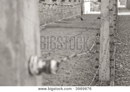 Concentration Camp In Poland