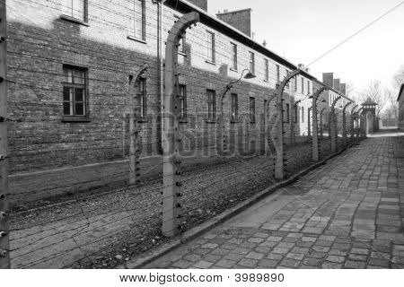 Concentration Camp In Poland