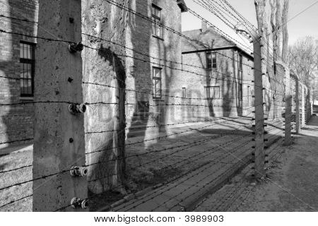 Concentration Camp In Poland