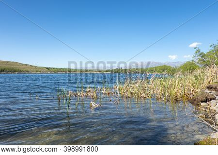 Water's Edge Of Lake Alexandrina In Canterbury With Bull Rushes New Zealand.
