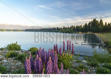 The Golden Hour Over Lake Ruataniwha, Twizel.