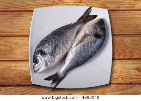 Frutti di mare