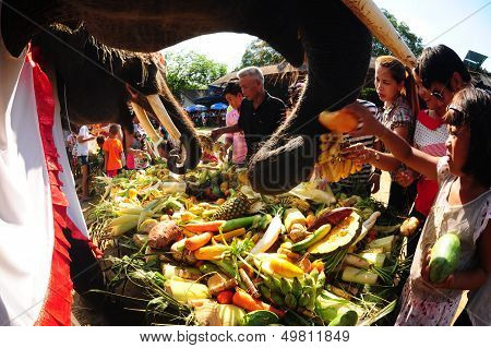 Buffet Elephants .
