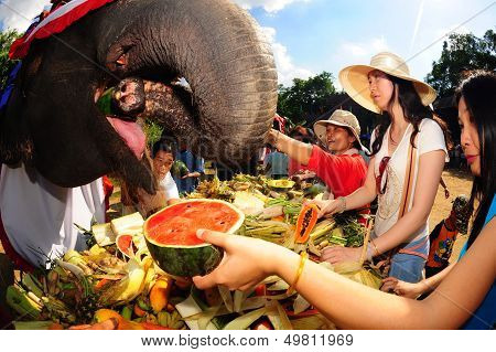 Buffet Elephants .