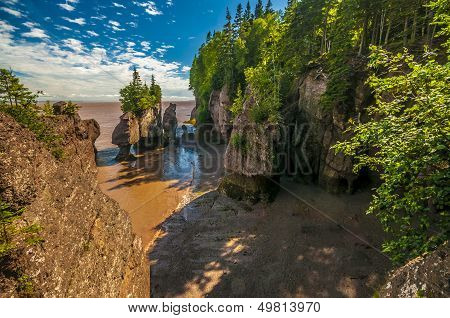 Hopewell Rocks