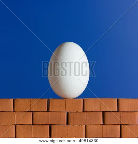 White On The Red Brick Wall