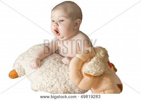 Baby With Sheep