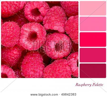 A background of fresh raspberries in a colour palette with complimentary colour swatches