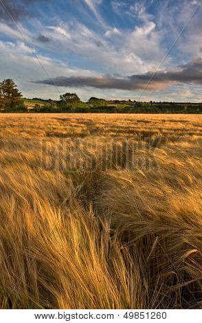 Golden Hour