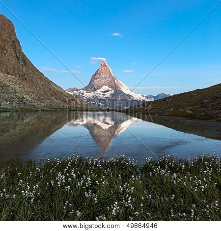 Matterhorn reflecton in Riffelsee with flowers, Zermatt, Alps, Switzerland