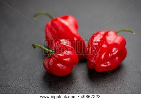 three red habaneros on a slate plate