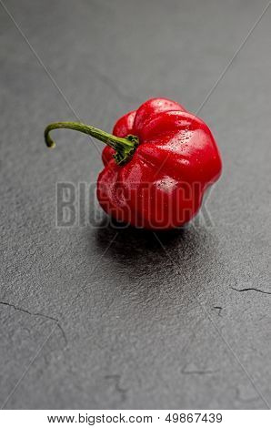 a red habanero on a slate plate