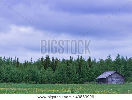Lapland In Summer: Barn On Green Field With Flowers.