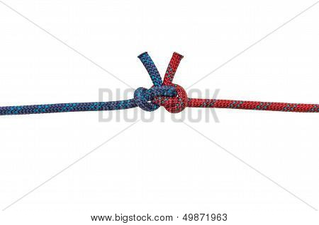 Alpine Butterfly Bend on a white background