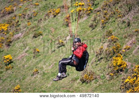 Paraglider