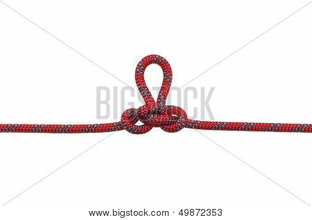 Alpine Butterfly Loop on a white background