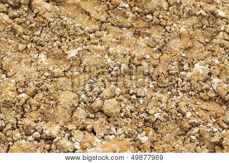 Soil