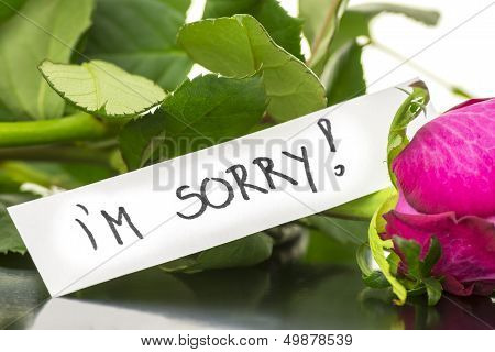 I'm Sorry