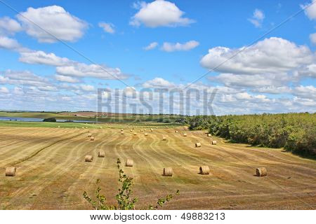 Round bales and fluffy clouds