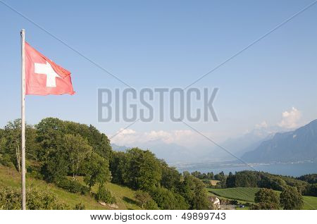 The Swiss Flag
