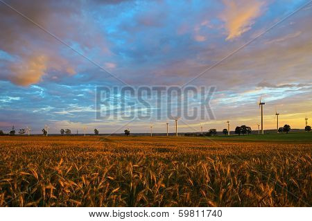 Beautiful landscape