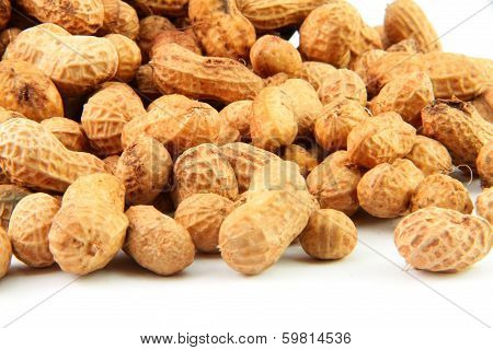 Peanut