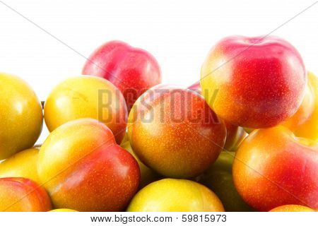 Plum