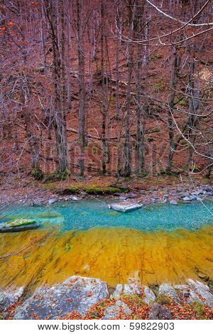 Arazas river Valle de Ordesa valley Pyrenees Huesca Aragon at Spain