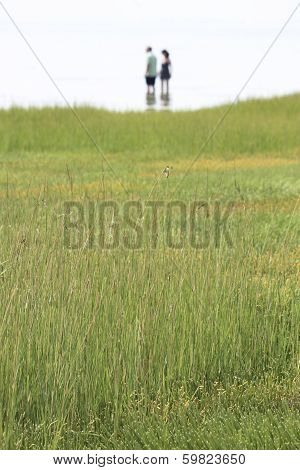 Couple in the water on Cape Cod