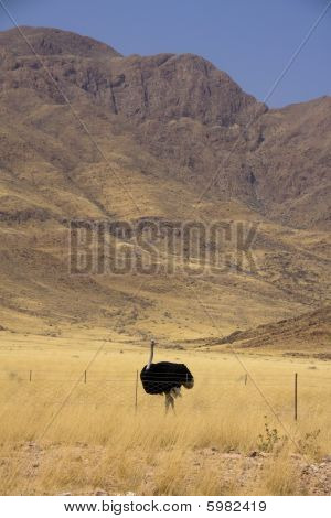 Undervejs fra kabale til Sossusvlei