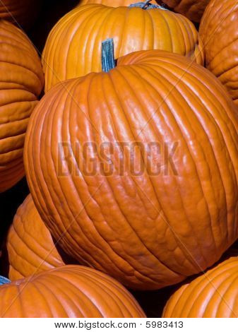 Stack di zucca