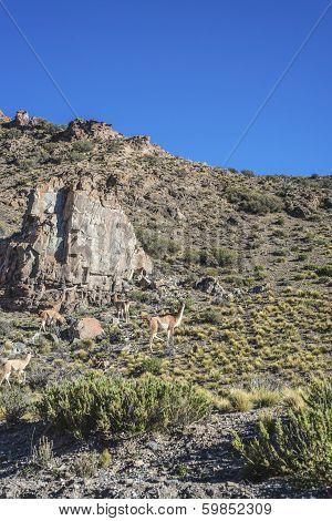 Department Of Las Heras In Mendoza, Argentina