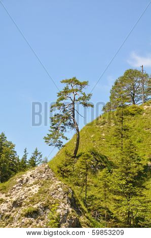 Oetschergraben, a mountain waterfall near to the Oetscher in Austria, Europe