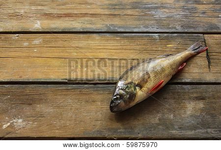 Live Fish On The Wooden Board