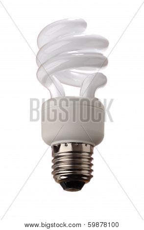Light Bulb
