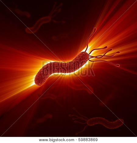Helicobacter Pylori