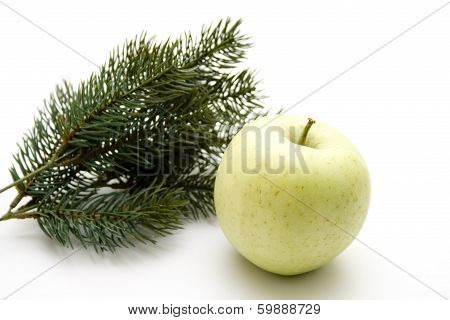 Apple with fir branch