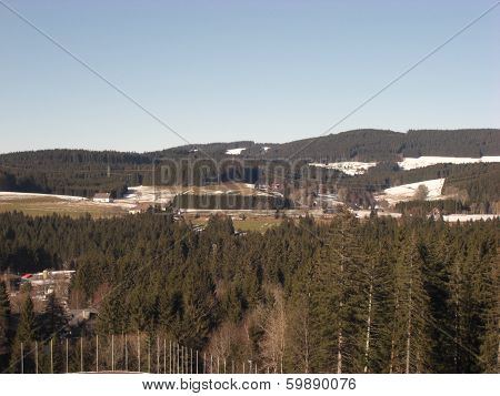 Black Forest Scene