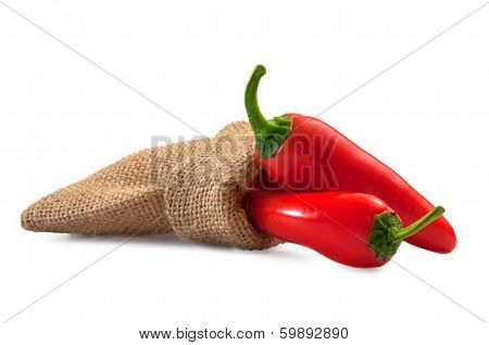 Hot chili
